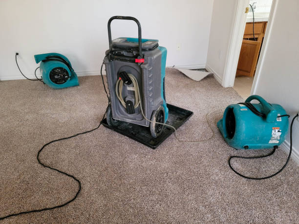 Best Water damage mitigation services  in Antioch, IL