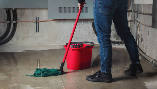Best Water damage restoration near me  in Antioch, IL