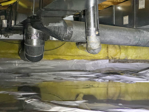 Best Flood restoration services  in Antioch, IL
