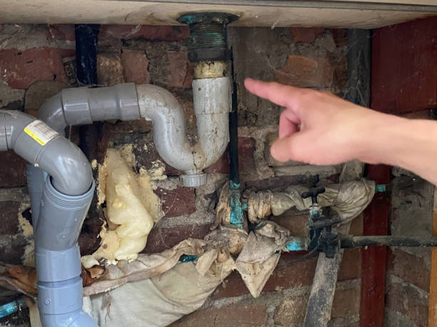 Best Sewage cleanup and water damage restoration  in Antioch, IL